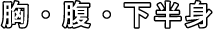 胸・腹・下半身